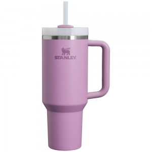 Botellas de Agua Stanley Adventure Quencher H2.0 Travel Tumbler | 40 OZ Moradas | PCVN-10975
