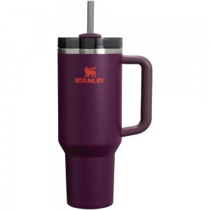 Botellas de Agua Stanley Adventure Quencher H2.0 Travel Tumbler | 40 OZ Moradas | ZPNB-19634