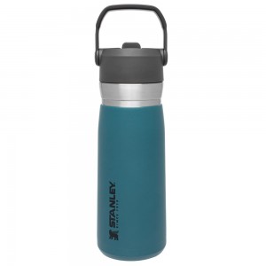 Botellas de Agua Stanley Go Flip Straw Water Bottle | 22 OZ | Insulated Bottle Azules | VZKS-73942