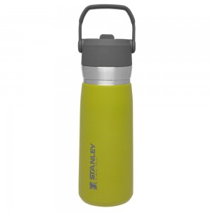 Botellas de Agua Stanley Go Flip Straw Water Bottle | 22 OZ | Insulated Bottle Verde | OGXP-05271