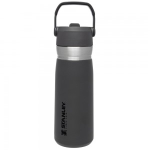 Botellas de Agua Stanley Go Flip Straw Water Bottle | 22 OZ | Insulated Bottle Gris | ZHKT-69351