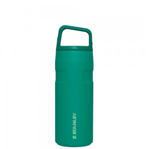 Botellas de Agua Stanley IceFlow™ Bottle with Cap and Carry+ Lid | 16 OZ Verde | FIYP-73629