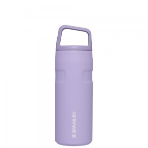 Botellas de Agua Stanley IceFlow™ Bottle with Cap and Carry+ Lid | 16 OZ Moradas | OJTE-80596