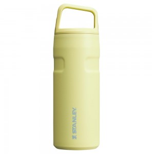 Botellas de Agua Stanley IceFlow™ Bottle with Cap and Carry+ Lid | 16 OZ Amarillo | DYTX-13842