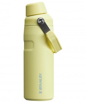 Botellas de Agua Stanley IceFlow™ Bottle with Fast Flow Lid | 16 OZ Amarillo | DIUR-28574