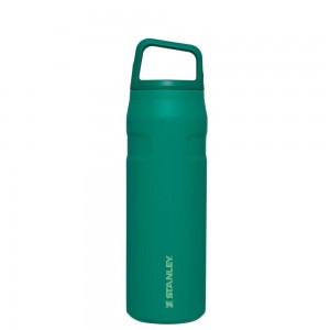 Botellas de Agua Stanley IceFlow™ Bottle with Cap and Carry+ Lid | 24 OZ Verde | YPMJ-49023