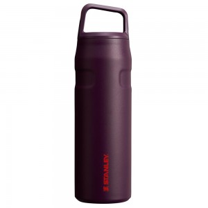 Botellas de Agua Stanley IceFlow™ Bottle with Cap and Carry+ Lid | 24 OZ Moradas | CGTV-73869