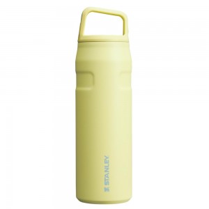 Botellas de Agua Stanley IceFlow™ Bottle with Cap and Carry+ Lid | 24 OZ Amarillo | WIYE-69581
