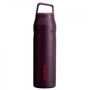 Botellas de Agua Stanley IceFlow™ Bottle with Cap and Carry+ Lid | 36 OZ Moradas | YREI-91068