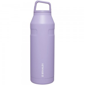Botellas de Agua Stanley IceFlow™ Bottle with Cap and Carry+ Lid | 50 OZ Moradas | NJVZ-84310