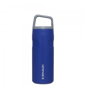 Botellas de Agua Stanley IceFlow™ Bottle with Cap and Carry+ Lid | 16 OZ Azules | VLRI-36287
