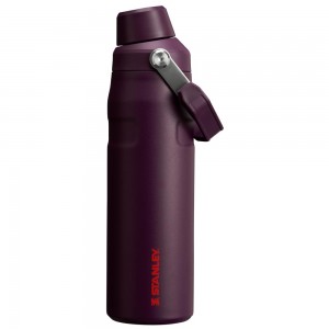 Botellas de Agua Stanley IceFlow Insulated Bottle with Fast Flow Lid | 24 OZ Moradas | YAKL-39502