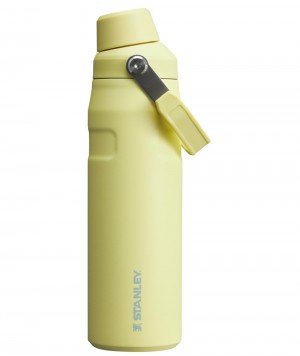 Botellas de Agua Stanley IceFlow Insulated Bottle with Fast Flow Lid | 24 OZ Amarillo | VEUA-51832