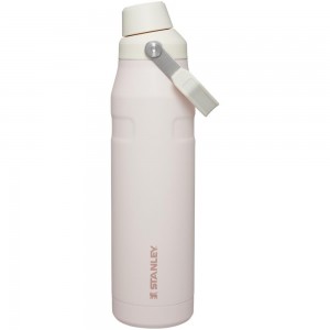 Botellas de Agua Stanley IceFlow Insulated Bottle with Fast Flow Lid | 36 OZ Rosas | RHNQ-58931