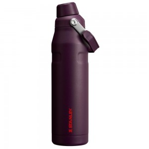 Botellas de Agua Stanley IceFlow Insulated Bottle with Fast Flow Lid | 36 OZ Moradas | PBUI-60493
