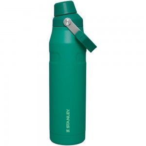Botellas de Agua Stanley IceFlow Insulated Bottle with Fast Flow Lid | 36 OZ Verde | QIAO-80754