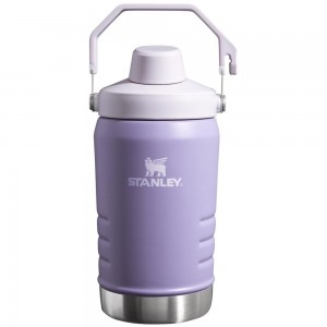 Botellas de Agua Stanley IceFlow™ Jug with Fast Flow Lid | 40 OZ Moradas | PMTH-72960