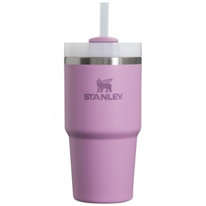 Botellas de Agua Stanley Quencher H2.0 Travel Tumbler | 20 OZ Moradas | ZPYI-72538