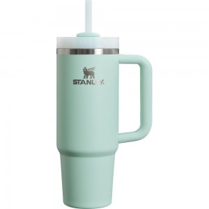 Botellas de Agua Stanley The Clean Slate Quencher H2.0 FlowState Tumbler | 30 OZ Verde Menta Turquesa | NJUE-79640