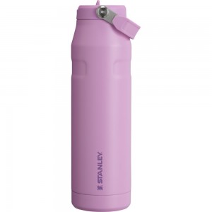 Botellas de Agua Stanley The IceFlow™ Bottle with Flip Straw Lid | 36 OZ Moradas | JKNQ-50194