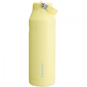 Botellas de Agua Stanley The IceFlow™ Bottle with Flip Straw Lid | 50 OZ Amarillo | RHPC-80569