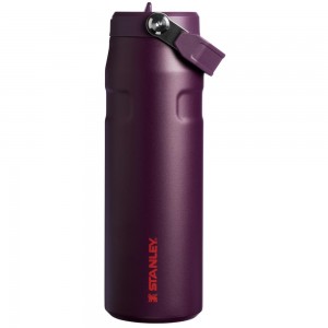 Botellas de Agua Stanley The IceFlow™ Bottle with Flip Straw Lid | 24 OZ Moradas | HTQG-20973