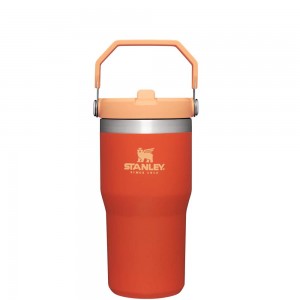 Botellas de Agua Stanley The IceFlow Flip Straw Tumbler | 20 OZ | Insulated Water Tumbler | Sta Naranjas | YRQO-71856