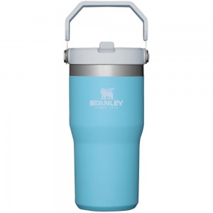 Botellas de Agua Stanley The IceFlow Flip Straw Tumbler | 20 OZ | Insulated Water Tumbler | Sta Azules | MDGE-76834