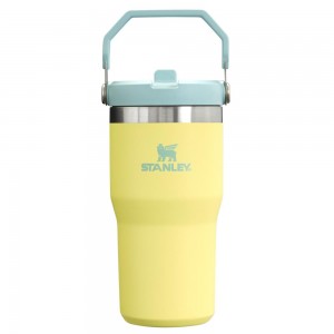Botellas de Agua Stanley The IceFlow Flip Straw Tumbler | 20 OZ | Insulated Water Tumbler | Sta Amarillo | TFDM-32645