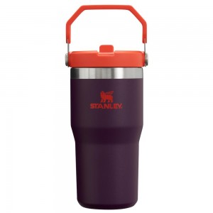 Botellas de Agua Stanley The IceFlow Flip Straw Tumbler | 20 OZ | Insulated Water Tumbler | Sta Moradas | XJNL-62043