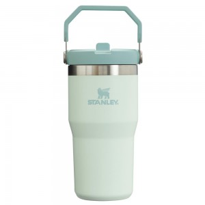 Botellas de Agua Stanley The IceFlow Flip Straw Tumbler | 20 OZ | Insulated Water Tumbler | Sta Darkseagreen | LWAG-17806