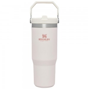 Botellas de Agua Stanley The IceFlow Flip Straw Tumbler | 30 OZ | Insulated Water Rosas | UHKI-97658