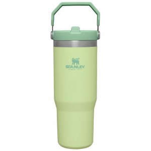 Botellas de Agua Stanley The IceFlow Flip Straw Tumbler | 30 OZ | Insulated Water Verde | MENT-57380