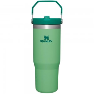Botellas de Agua Stanley The IceFlow Flip Straw Tumbler | 30 OZ | Insulated Water Verde | EWIQ-68307