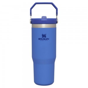 Botellas de Agua Stanley The IceFlow Flip Straw Tumbler | 30 OZ | Insulated Water Azules | BEHC-87605