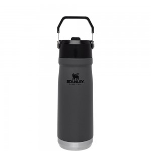 Botellas de Agua Stanley The IceFlow Flip Straw Water Bottle | 22 OZ | Insulated Bottle | Stanl Gris | QDUV-80129