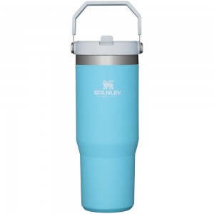 Botellas de Agua Stanley The IceFlow Flip Straw Tumbler | 30 OZ | Insulated Water Azules | QBSF-90431