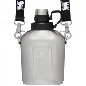 Botellas de Agua Stanley The Legendary Classic Insulated Canteen | 1.1QT Gris | PHDM-48970