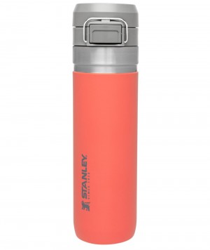Botellas de Agua Stanley The Quick Flip Go | 24 OZ Naranjas | KGTS-10389