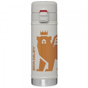 Botellas de Agua Stanley The Wild Imagination Flowsteady™ Big Bear Bottle | 17 OZ Gris | BTYE-61845
