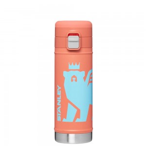Botellas de Agua Stanley The Wild Imagination Flowsteady™ Big Bear Bottle | 17 OZ Naranjas | CPAX-73860