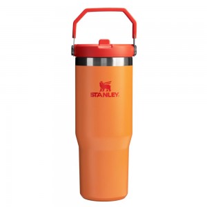 JUGS Stanley The Heat Wave IceFlow™ Flip Straw Tumbler | 30 OZ Doradas | SBNO-68930
