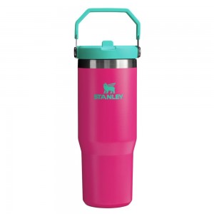 JUGS Stanley The Heat Wave IceFlow™ Flip Straw Tumbler | 30 OZ Rosas | MRQN-94306