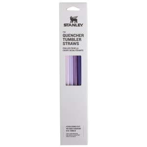 Straws Stanley Replacement Straw 4 Pack | 40 OZ Quencher Tumbler Moradas | AXEW-16457