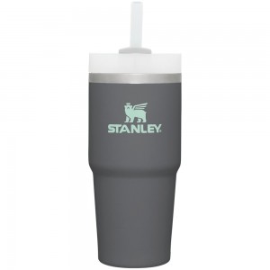 Tumbler Stanley Quencher H2.0 Travel | 14 OZ Gris | PAVW-90562