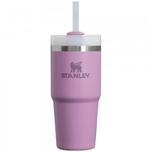 Tumbler Stanley Quencher H2.0 Travel | 14 OZ Moradas | NIAL-28617