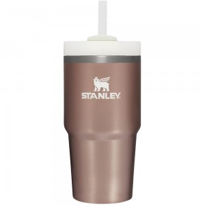 Tumbler Stanley Quencher H2.0 Travel | 20 OZ Rosas | BZVD-16538