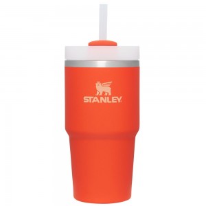 Tumbler Stanley Quencher H2.0 Travel | 20 OZ Naranjas | FDWR-98546