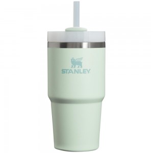 Tumbler Stanley Quencher H2.0 Travel | 20 OZ Darkseagreen | TWUH-28614