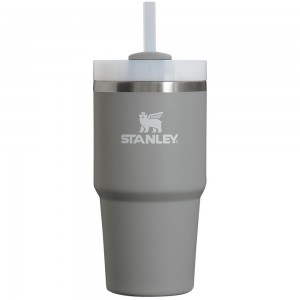 Tumbler Stanley Quencher H2.0 Travel | 20 OZ Gris | BWMR-07854
